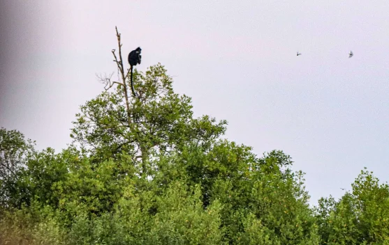 Cahaya Harapan di Tengah Air Pasang