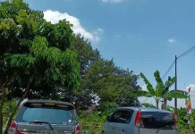 Mobil Panas Terik, Amankah Langsung Nyalakan AC?