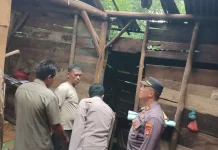 Rumah Warga Tersambar Petir Kapolres Salurkan Bantuan 