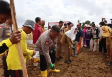 Bupati dan Kapolres Natuna Panen Jagung Pipil di Desa Gunung Putri