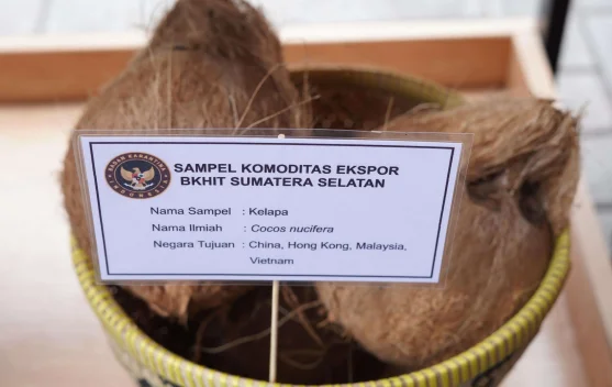 Pemprov Sumsel Luncurkan Go-Export untuk Perdagangan Internasional