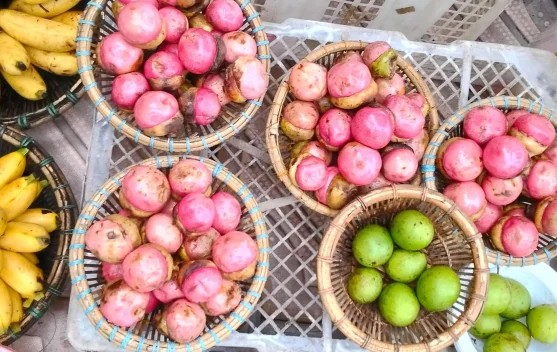 Kalangkala, a Favorite Seasonal Forest Fruit of Banjarmasin