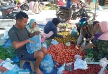 Harga Cabai Rawit di Singkil Tembus Rp100 Ribu/kilogram