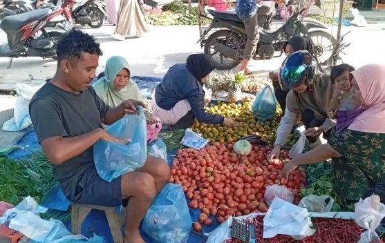 Harga Cabai Rawit di Singkil Tembus Rp100 Ribu/kilogram