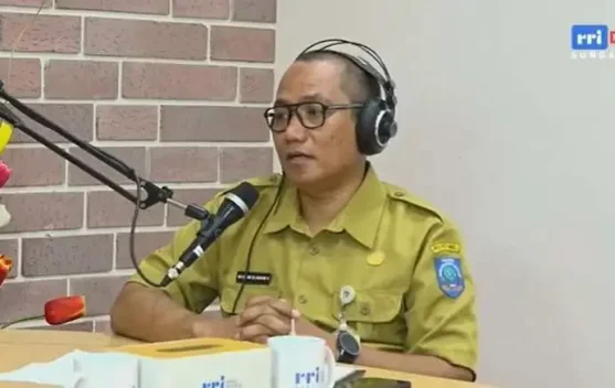 Pusat Layanan Usaha Terpadu Bantu UMKM Kembangkan Usaha