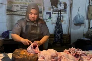 Menyongsong Nataru, Harga Ayam Potong di Yogyakarta Meroket