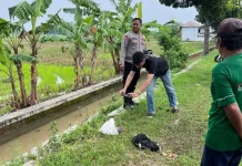 Polres Indramayu Dalami Kasus Pembuangan Bayi dalam Kresek