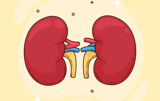 Kenali Tips Menjaga Kesehatan Ginjal