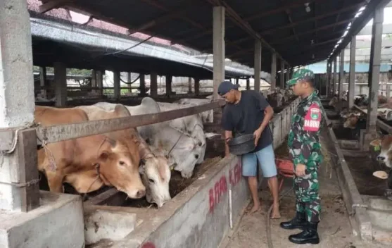 Praka IK Sinaga Pantau PMK Ternak Mandau