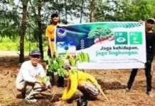 Anggota Fraksi Nasdem Bersama Pokdarwis Tanam Pohon Bersama 