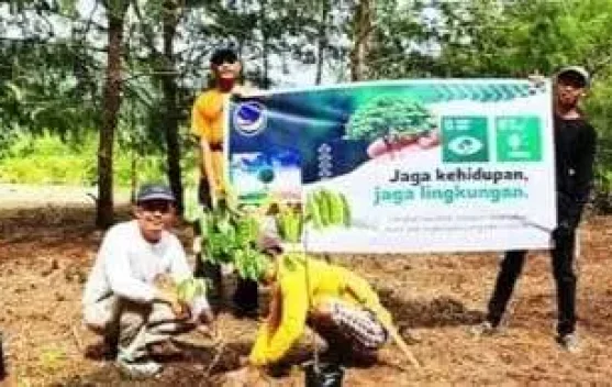 Anggota Fraksi Nasdem Bersama Pokdarwis Tanam Pohon Bersama 