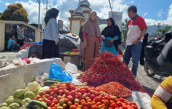 Bawang Putih di Takengon Rp70 Ribu Perkilo