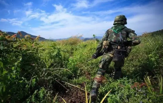 Kapendam XII/Tanjungpura Jelaskan Insiden Penyerangan TNI oleh WNA 