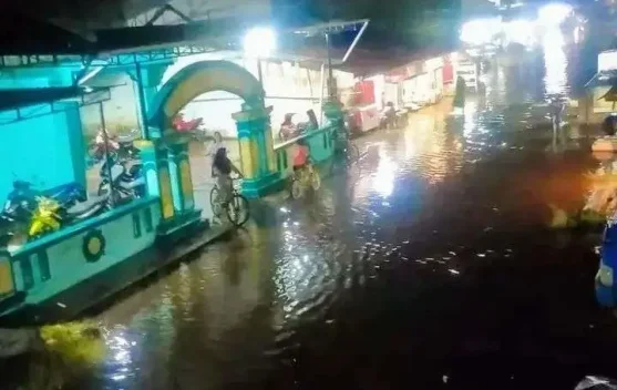 ‎Waspada Banjir Rob dan Kemunculan Buaya di Permukiman