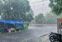 Waspada Cuaca Ekstrem, Penyakit Musiman Mengintai