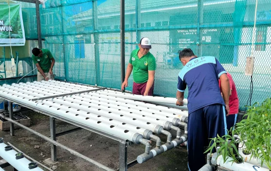 Lapas Luwuk Lakukan Pemeliharaan Instalasi Hidroponik