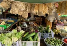 Harga Sayur dan Ayam Melonjak di Pasar Perumnas