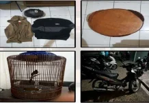 Pencuri Burung Murai Dibekuk Resmob, Satu Pelaku Anak