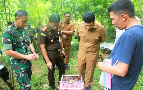 Dukung Usaha Warga, Bupati Buton Tinjau Madu Trigona