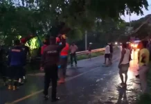 Sinergi Instansi Evakuasi Pohon Tumbang di Baubau