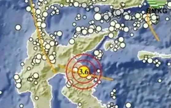 Gempa Guncang Morowali Sulawesi Tengah 