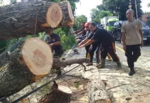 Sepanjang 2025, BPBD Buleleng Petakan 489 Kejadian Bencana