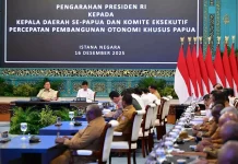 Presiden Perintahkan Bangun Lumbung Pangan hingga Desa