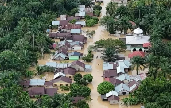 Generasi Z, Anti Disintegrasi dan Polarisasi Bencana