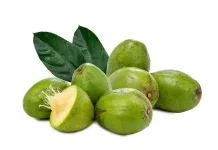 Manfaat Buah Kedondong Untuk Kesehatan