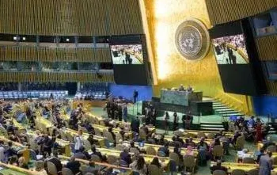 Majelis Umum PBB Dukung Hak Menentukan Nasib Palestina