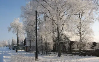 Oymyakon: Mengintip Kehidupan di Kota Terdingin di Dunia