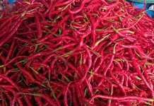 Sempat Naik, Segini Harga Cabai Merah di Singkil