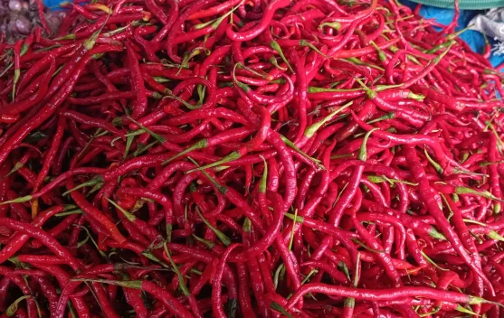 Sempat Naik, Segini Harga Cabai Merah di Singkil