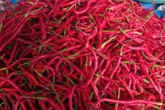 Sempat Naik, Segini Harga Cabai Merah di Singkil