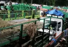 Dompu Siap Jadi Peyanggah Daging Nasional
