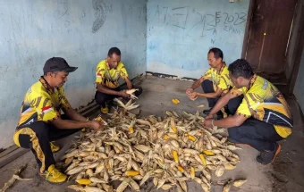 Polsek Sota Panen Jagung di Lahan Mandiri