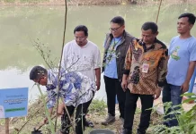 Banten Teduh, Ribuan Bibit Pohon DIbagikan  