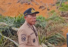 Bupati Tapteng Keluarkan SK Larangan Buka Lahan Sawit