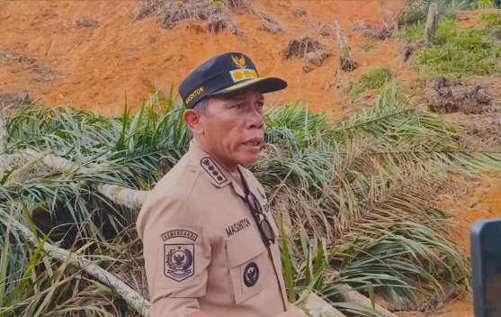 Bupati Tapteng Keluarkan SK Larangan Buka Lahan Sawit