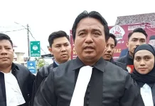 Praktisi Hukum Dukung Pembentukan Kakanwil Kehutanan di Daerah