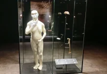 "Java Man" Displays Permanently at Indonesian National Museum