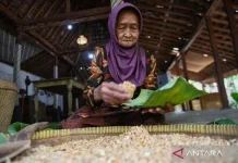 Jakarta Hosts Tempeh Cultural Festival to Safeguard Local Traditions
