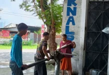 Benarkah Remove Catalytic Converter Tambah Tenaga?