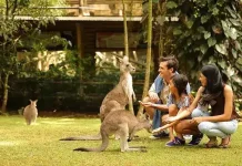 Taman Safari Indonesia Brings Conservation to Year-End Festivities