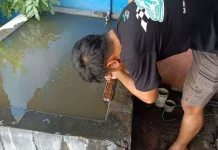 Mobil Migrasi ke Coolant Wajib Korok Dulu?