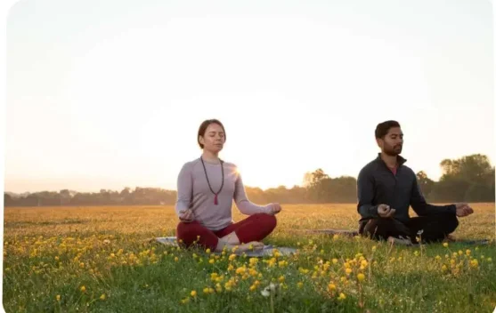 Wellness Holistik Modern Kunci Hidup Seimbang Optimal