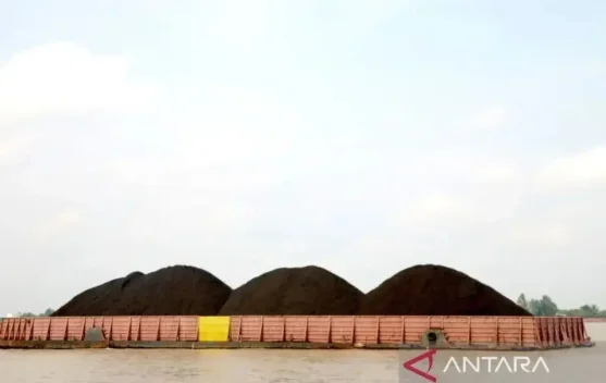 Indonesia’s Coal Export Levy Seen as Tool to Curb Trade Manipulation