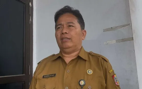 DP3AKB Jember: Usia SMP Paling Rawan Perkawinan Anak