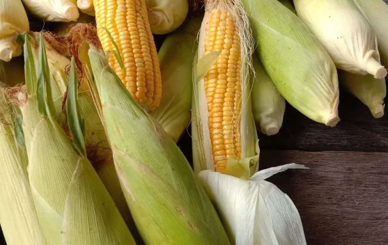 Jagung Jadi Menu "Idola" di Malam Tahun Baru