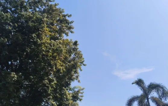 Bima Dompu : Siang Berpotensi Hujan